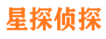 平远市侦探公司